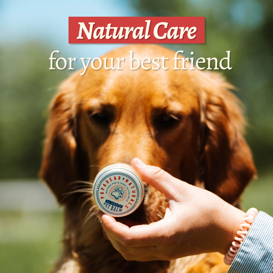 All American Whipped Pet Balm